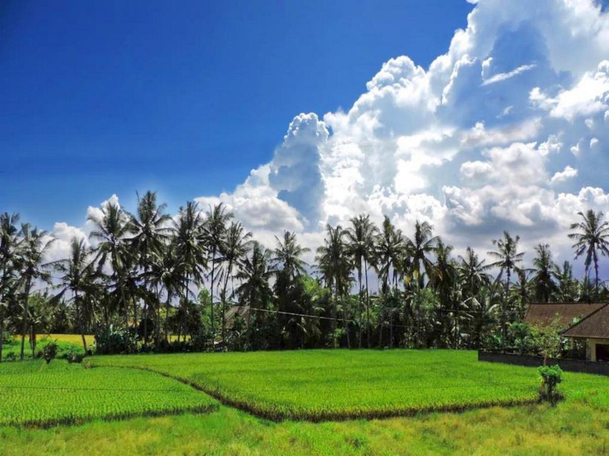 Pondok Ayu Soca Ubud Exterior foto
